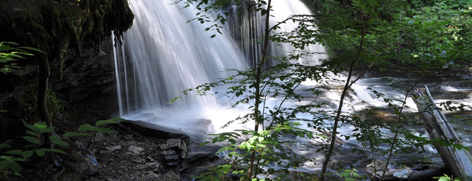 轰炸手机短信网站